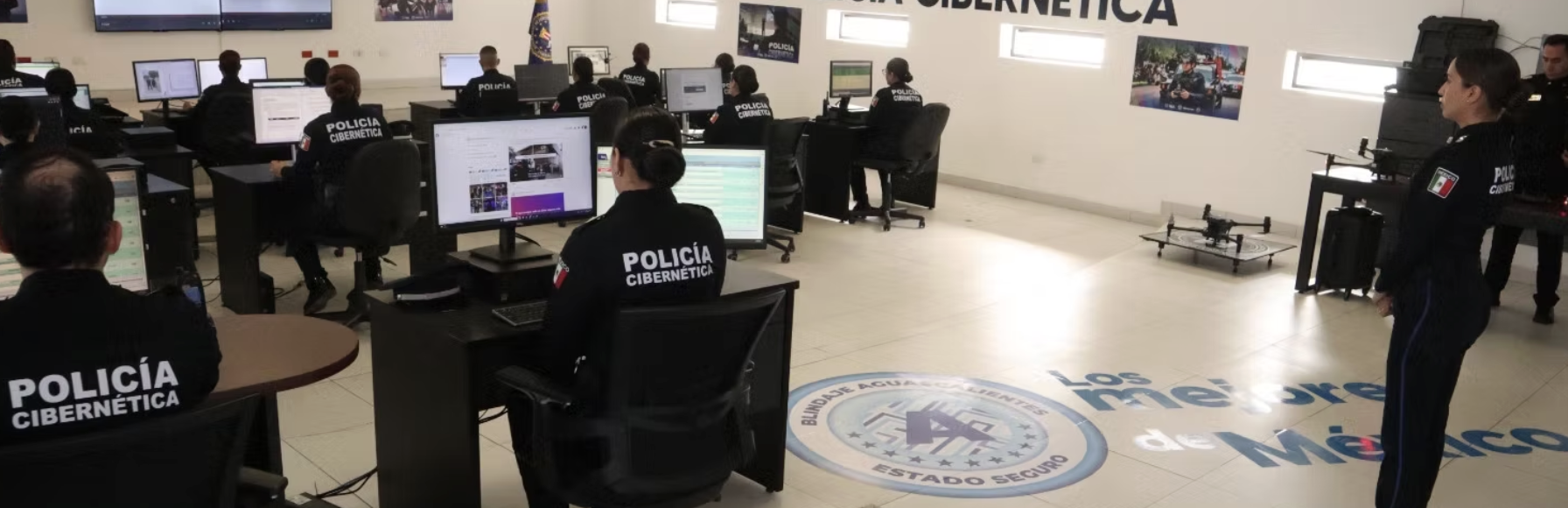 CUIDA TU BOLSILLO Y COMPRA EN LÍNEA DE FORMA SEGURA ESTE BUEN FIN